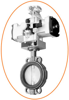 標準仕様 バタフライバルブゴムシートタイプステンレス B-61